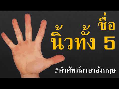 ชื่อนิ้วมือ ภาษาอังกฤษ I คำศัพท์ภาษาอังกฤษในชีวิตประจำวัน I ศัพท์ภาษาอังกฤษพื้นฐานที่ควรรู้