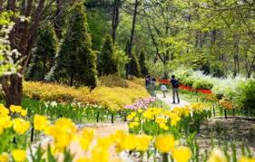 숲속 작은 유럽정원으로 산책 떠날까···제이드가든 봄꽃 만발 - 레이디경향